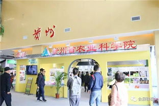 第二屆粵桂黔名優(yōu)農(nóng)產(chǎn)品食品展示博覽會(huì)盛大開(kāi)幕，推動(dòng)區(qū)域農(nóng)業(yè)高質(zhì)量發(fā)展